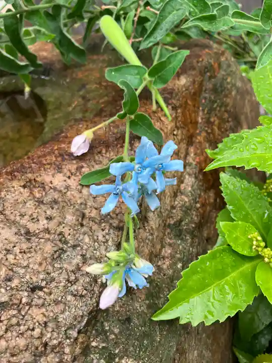 水堂須佐男神社の自然