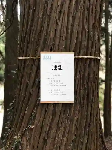 多賀神社の体験その他