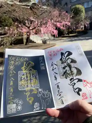桜神宮の御朱印