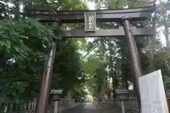 大井神社の鳥居