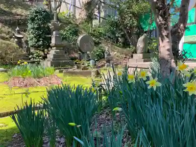 蓮光院(新潟県)