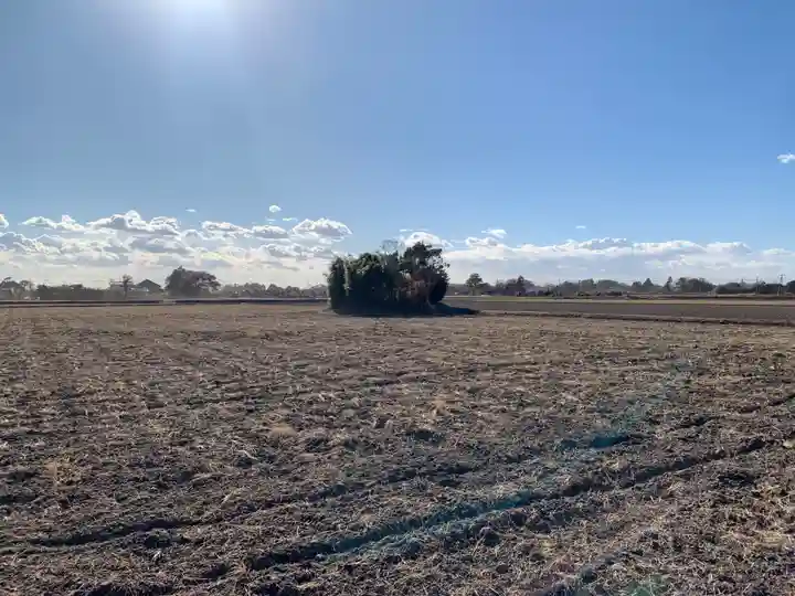 水神社(千葉県)
