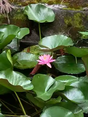 弘長寺(長野県)