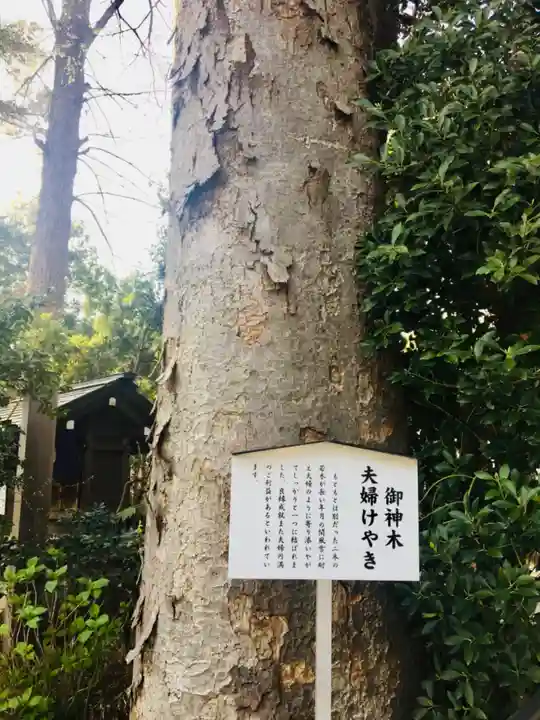 阿佐ヶ谷神明宮の歴史