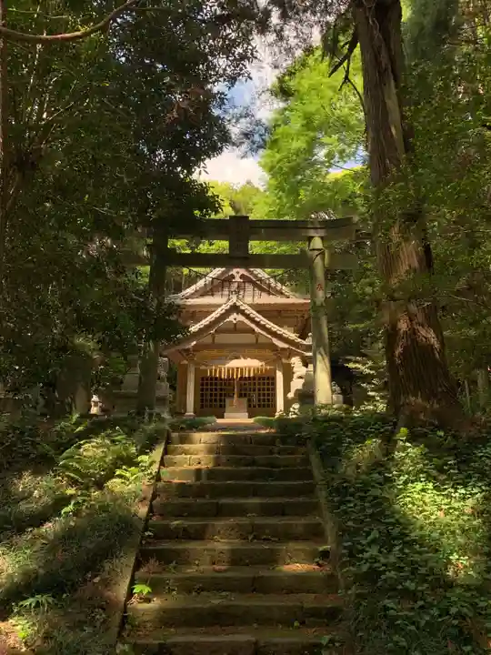 箱根神社(千葉県)