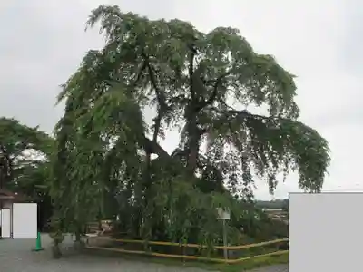 身照寺(岩手県)