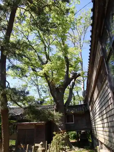 佐奇神社の庭園