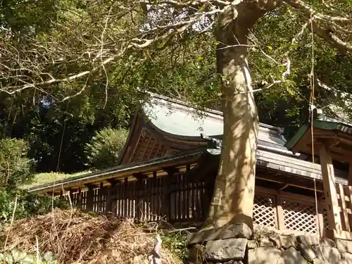 住吉神社の本殿・本堂