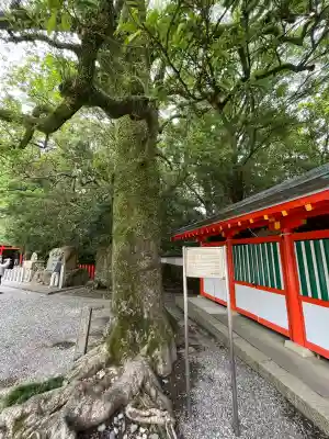 熊野速玉大社(和歌山県)