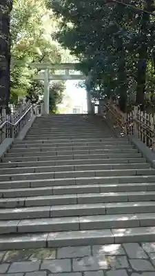 渋谷氷川神社の鳥居