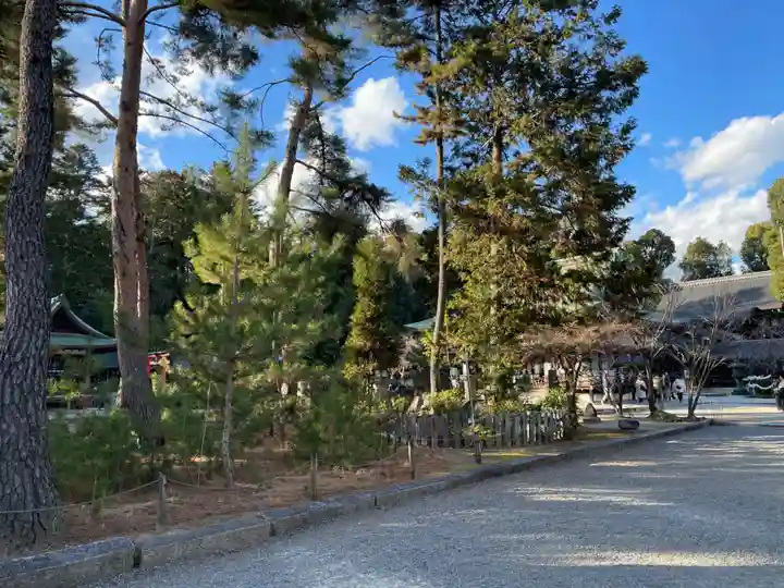 今宮神社(京都府)