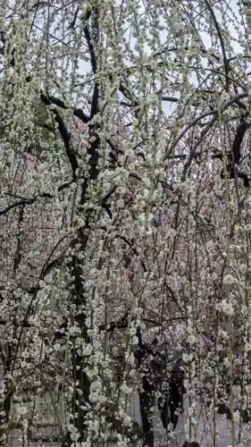 城南宮(京都府)