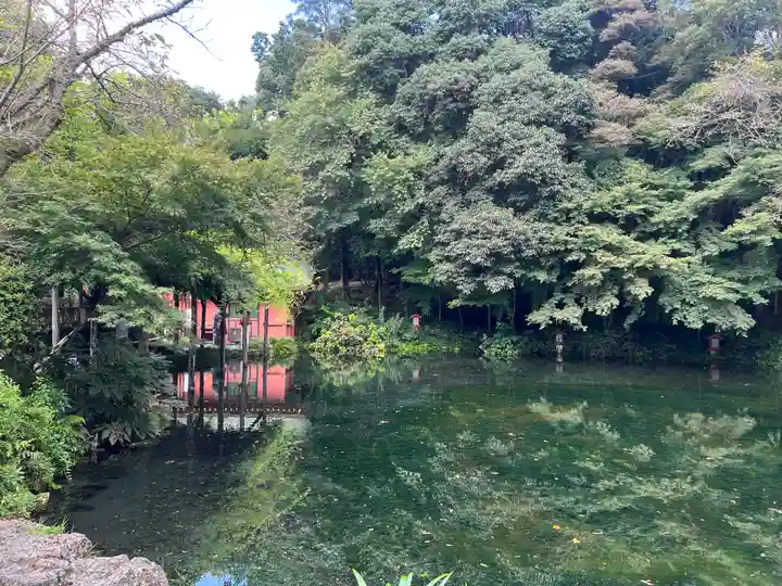 富士山本宮浅間大社(静岡県)