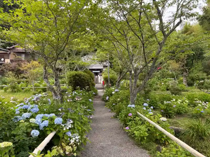 極楽寺(静岡県)