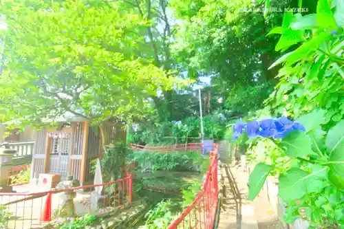 谷保天満宮(東京都)