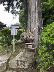 中禅寺の自然