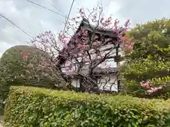 本寿寺(京都府)