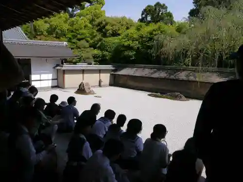 龍安寺の庭園