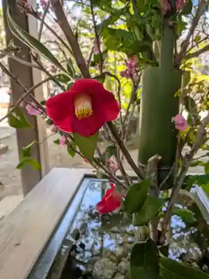 赤坂氷川神社(東京都)