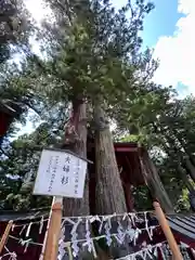 日光二荒山神社(栃木県)