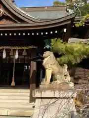 姫路神社の狛犬