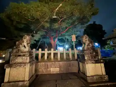 北野天満宮(京都府)