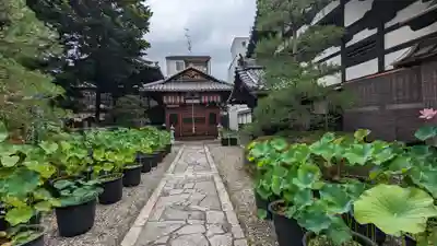 行願寺（革堂）のその他建物