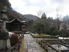 三室戸寺(京都府)