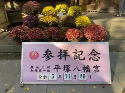 平塚八幡宮(神奈川県)