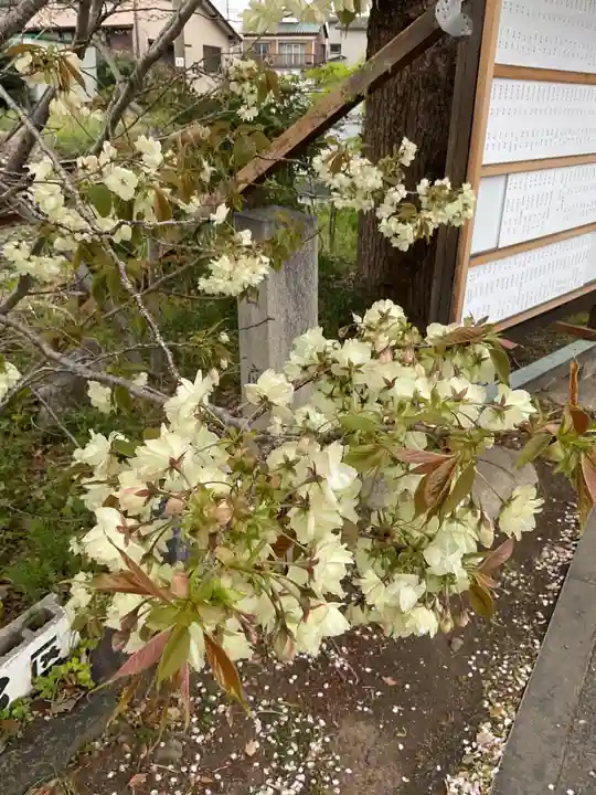 上地八幡宮(愛知県)