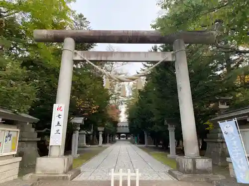 帯廣神社の七五三参