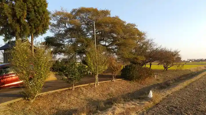 相野谷八幡神社(茨城県)