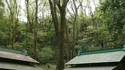 大麻止乃豆乃天神社のその他建物