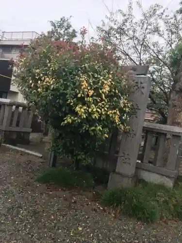 秋葉神社のその他建物