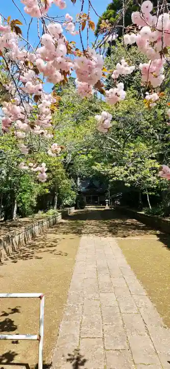 松山神社の{uncategorized: "未分類", other: "その他", undefined: "問題あり", building: "その他建物", grave: "お墓", sacred_gate: "鳥居", guardian: "狛犬", statue: "像", buddha: "仏像", history: "歴史", nature: "自然", garden: "庭園", animal: "動物", pagoda: "塔", temizu: "手水舎", mountain_gate: "山門・神門", sanctuary: "本殿・本堂", subordinate: "末社・摂社", art: "芸術", scenery: "景色", jizo: "地蔵", ema: "絵馬", goshuin: "御朱印", omikuji: "おみくじ", items: "授与品その他", amulet: "お守り", goshuincho: "御朱印帳", eats: "食事", festival: "お祭り", votive_dance: "神楽", shichigosan: "七五三参", wedding: "結婚式", experience: "体験その他", initially: "初詣", around: "周辺", anti_infection: "感染症対策"}