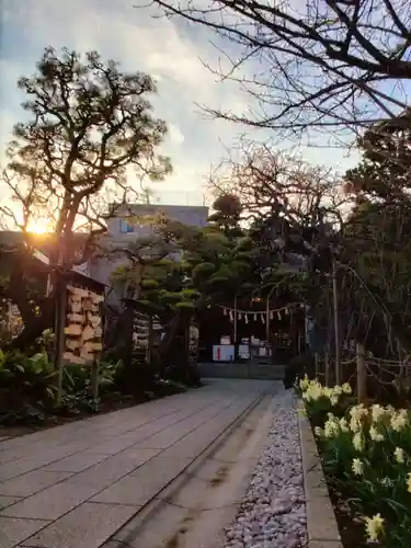 鳩森八幡神社の庭園