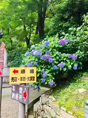 長谷寺の自然