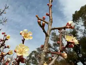 美奈宜神社(福岡県)(2026年02月03日(火) 13時46分45秒投稿)