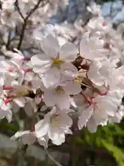 草谷天神社の自然