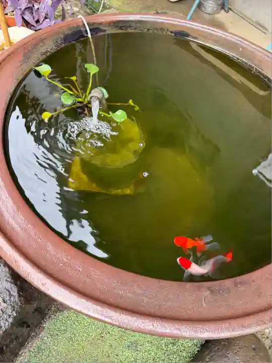 品川神社(東京都)