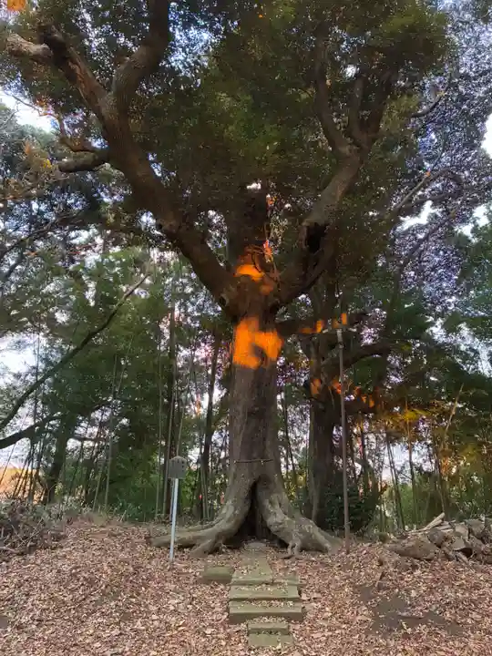 八幡神社(千葉県)