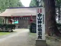 白山神社の本殿・本堂