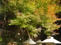 杉尾神社(和歌山県)