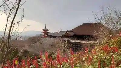 清水寺(京都府)