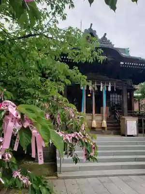 桜神宮(東京都)