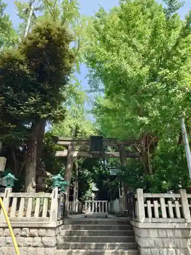 鳥越神社(東京都)