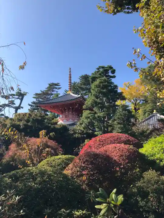 正覚院(東京都)