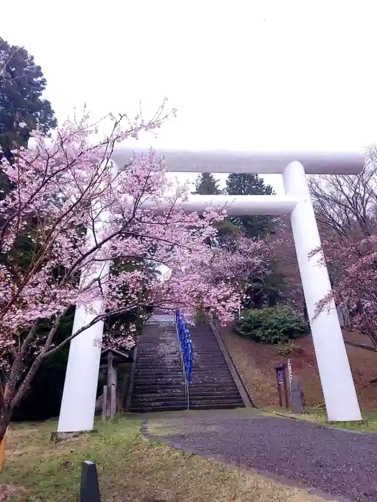土津神社|こどもと出世の神さまの鳥居