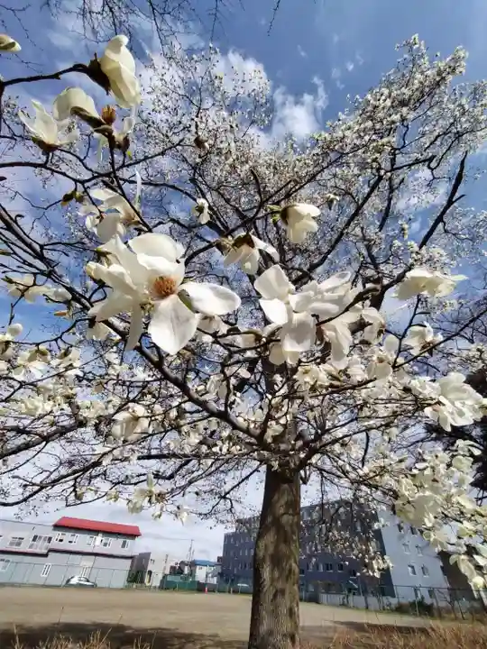 厚別神社(北海道)