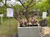 桜宮の{uncategorized: "未分類", other: "その他", undefined: "問題あり", building: "その他建物", grave: "お墓", sacred_gate: "鳥居", guardian: "狛犬", statue: "像", buddha: "仏像", history: "歴史", nature: "自然", garden: "庭園", animal: "動物", pagoda: "塔", temizu: "手水舎", mountain_gate: "山門・神門", sanctuary: "本殿・本堂", subordinate: "末社・摂社", art: "芸術", scenery: "景色", jizo: "地蔵", ema: "絵馬", goshuin: "御朱印", omikuji: "おみくじ", items: "授与品その他", amulet: "お守り", goshuincho: "御朱印帳", eats: "食事", festival: "お祭り", votive_dance: "神楽", shichigosan: "七五三参", wedding: "結婚式", experience: "体験その他", initially: "初詣", around: "周辺", anti_infection: "感染症対策"}